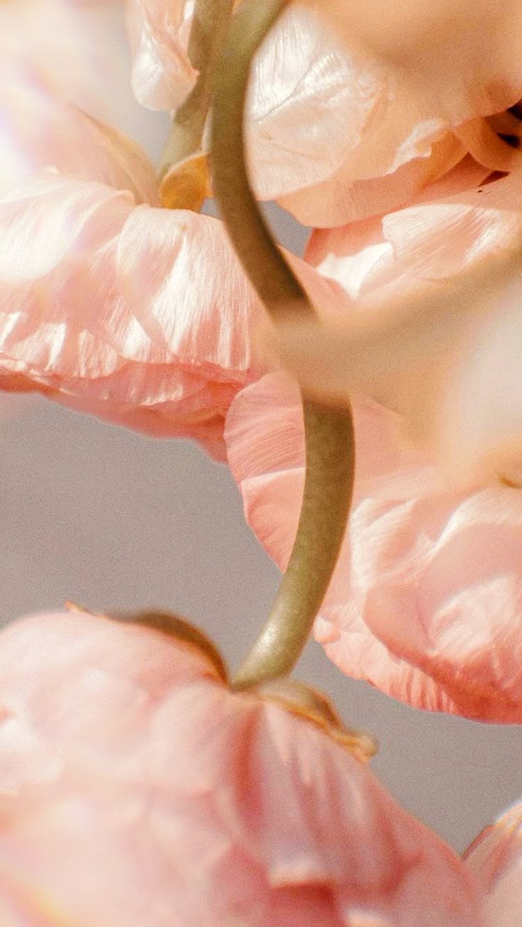 Arranjo floral