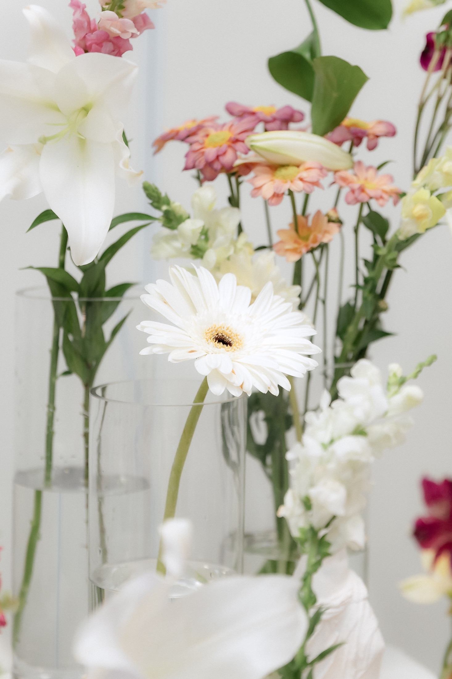 Beleza para Ambientes 12