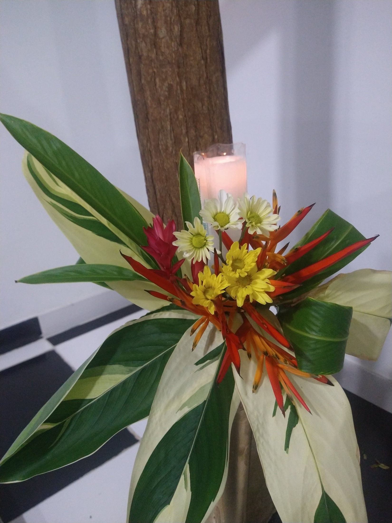Beleza para Ambientes 19