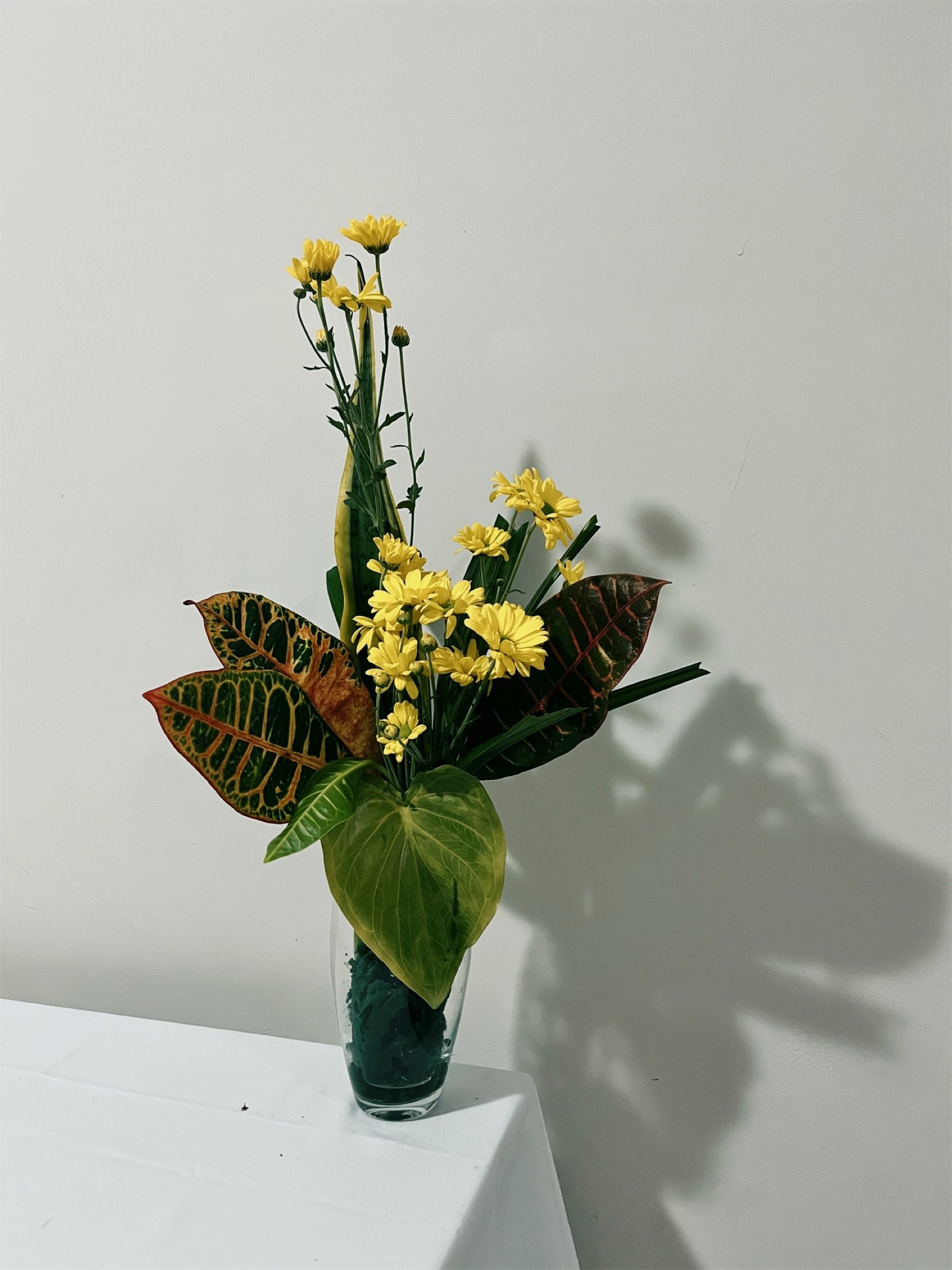 Beleza para Ambientes 31