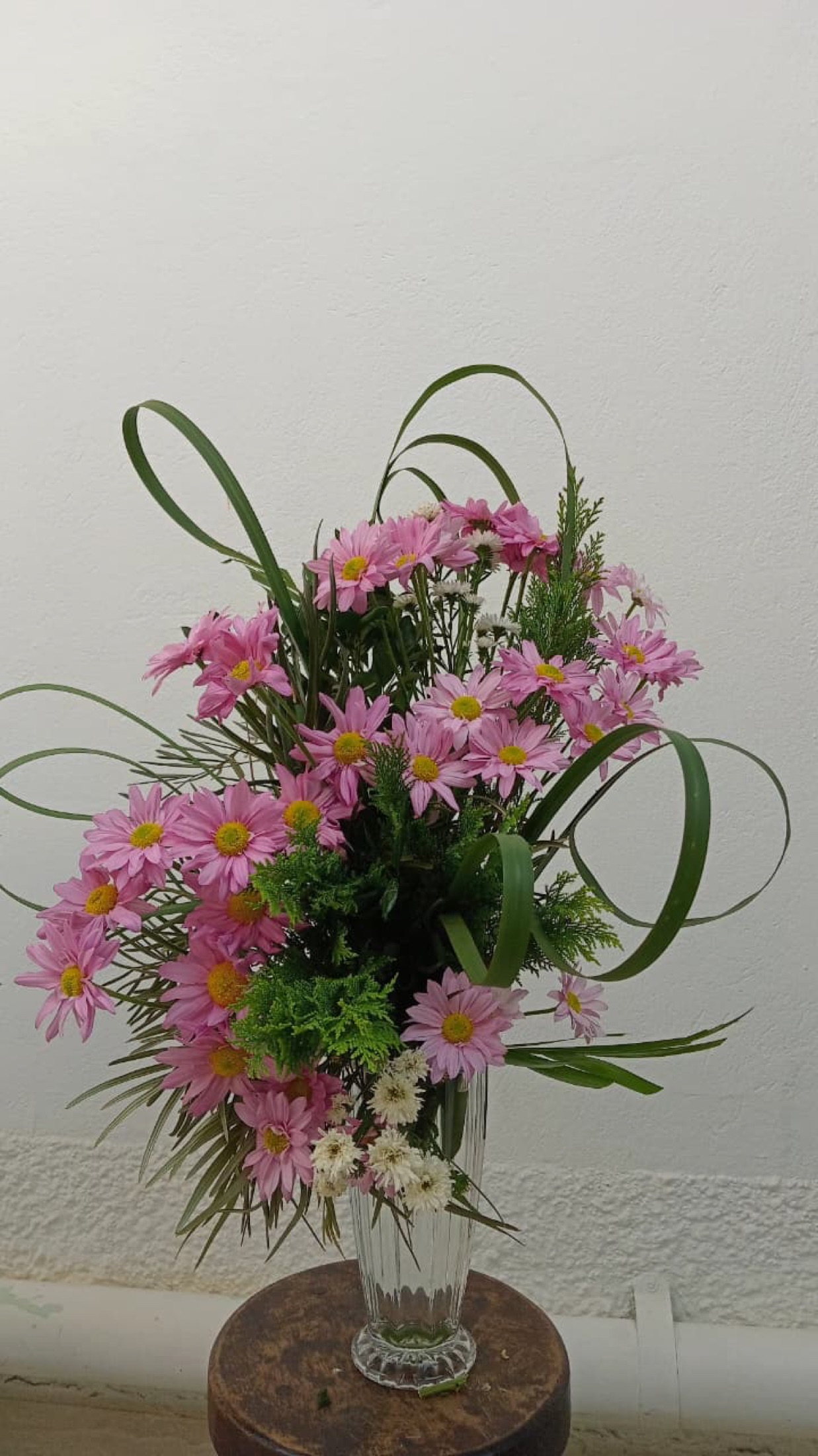 Beleza para Ambientes 37