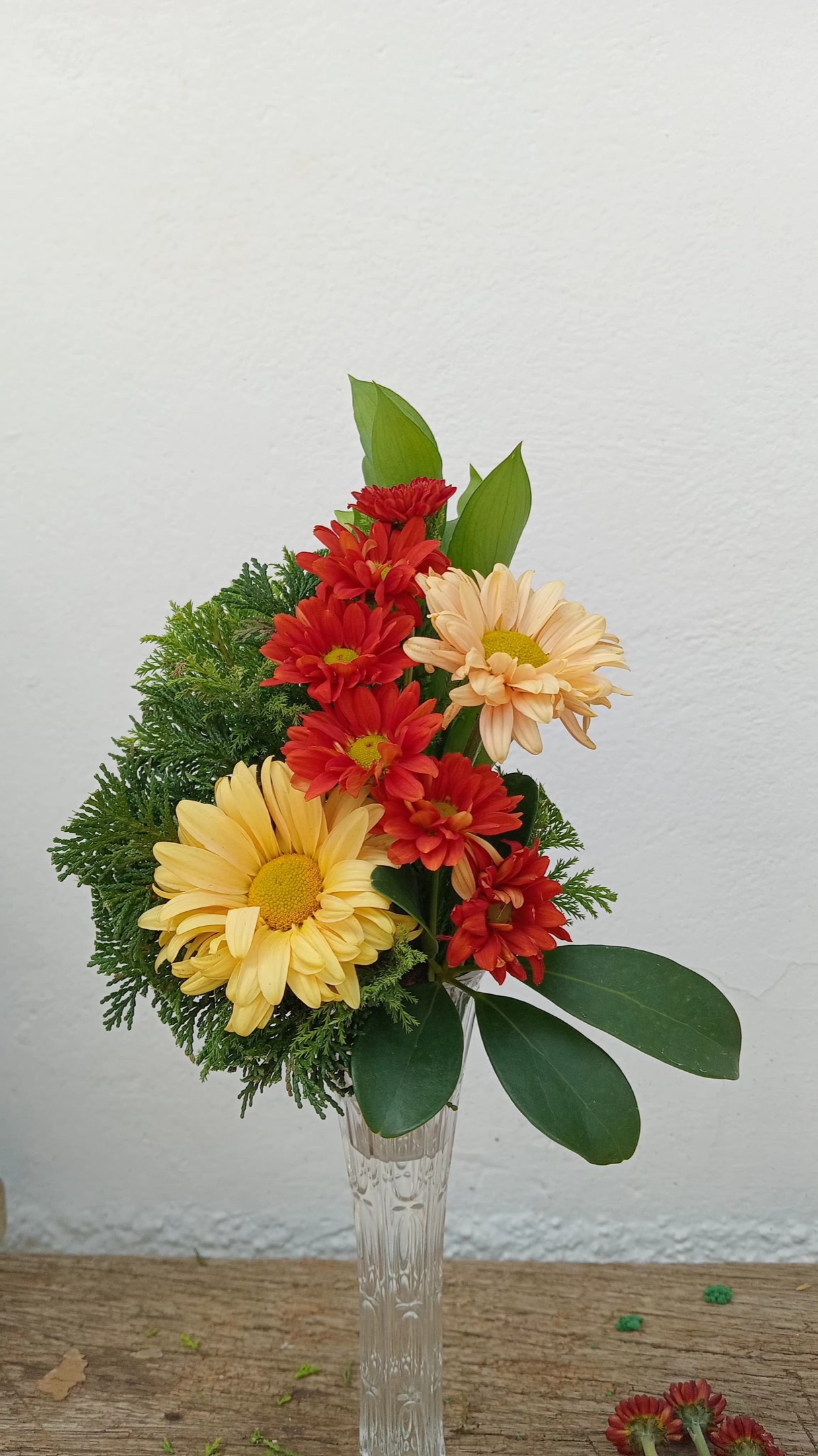 Beleza para Ambientes 47