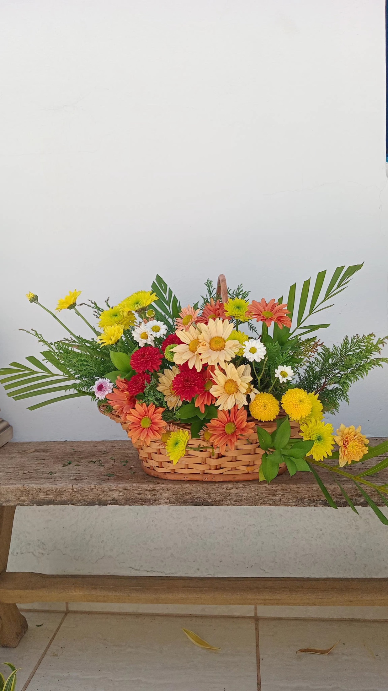 Beleza para Ambientes 50