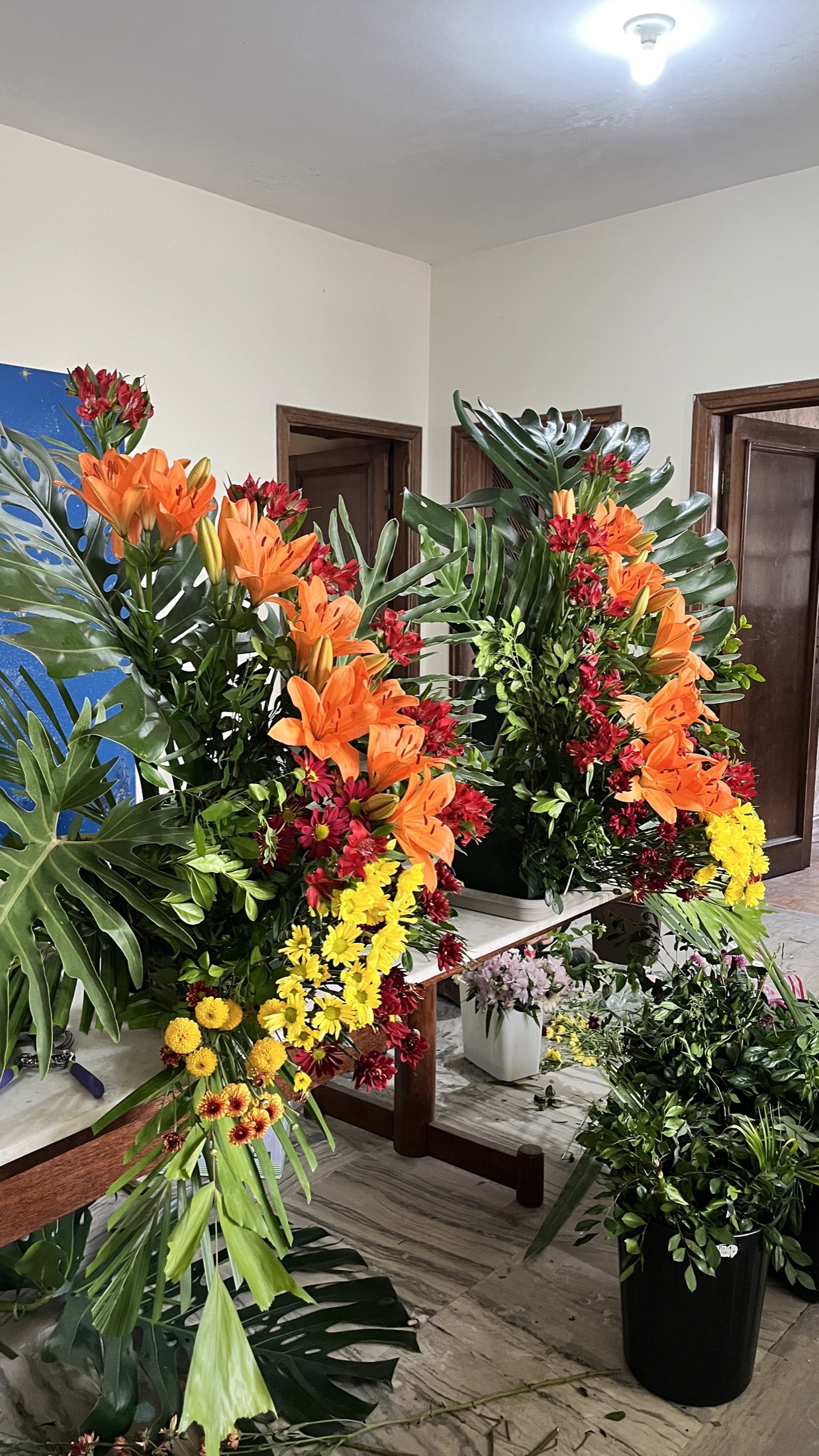 Beleza para Ambientes 51
