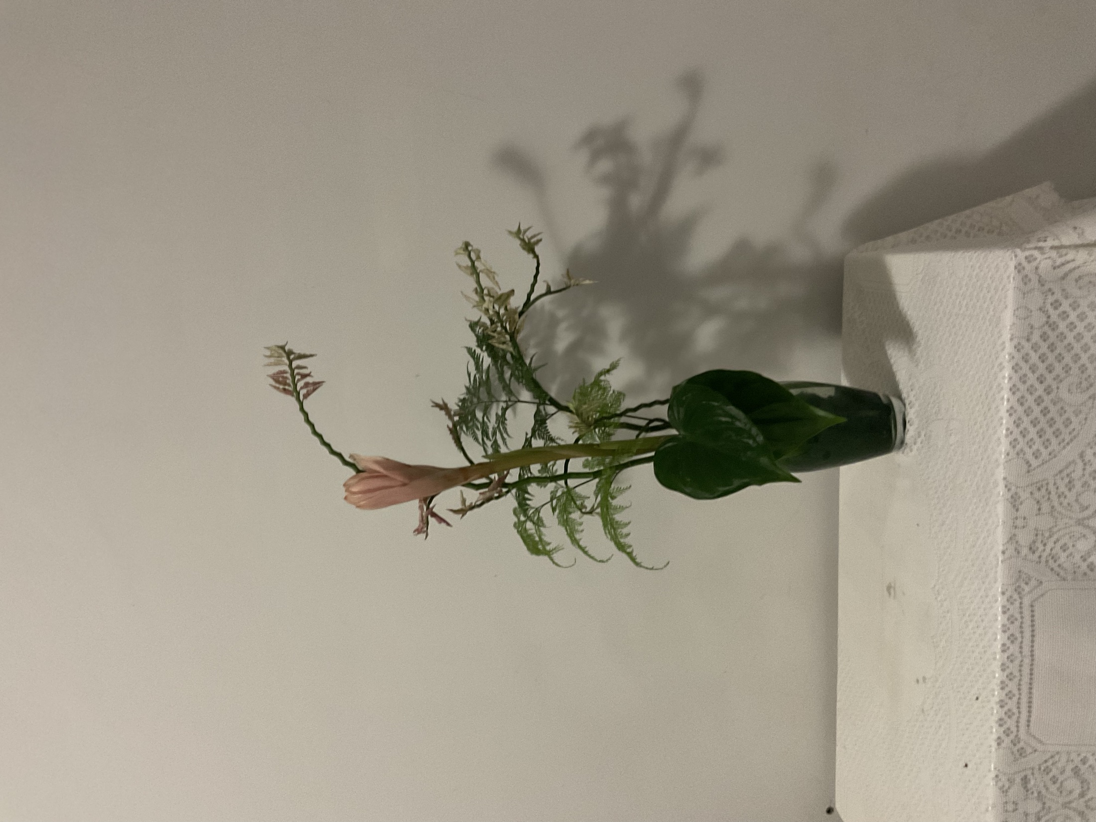Beleza para Ambientes 91