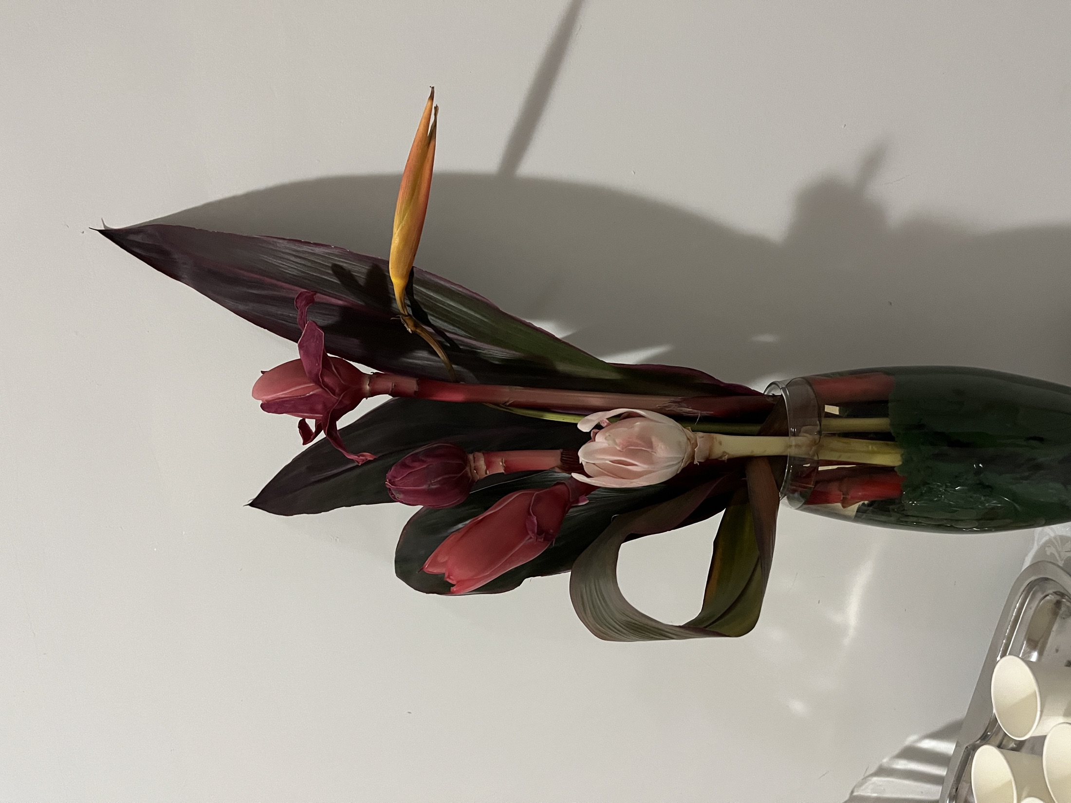 Beleza para Ambientes 101