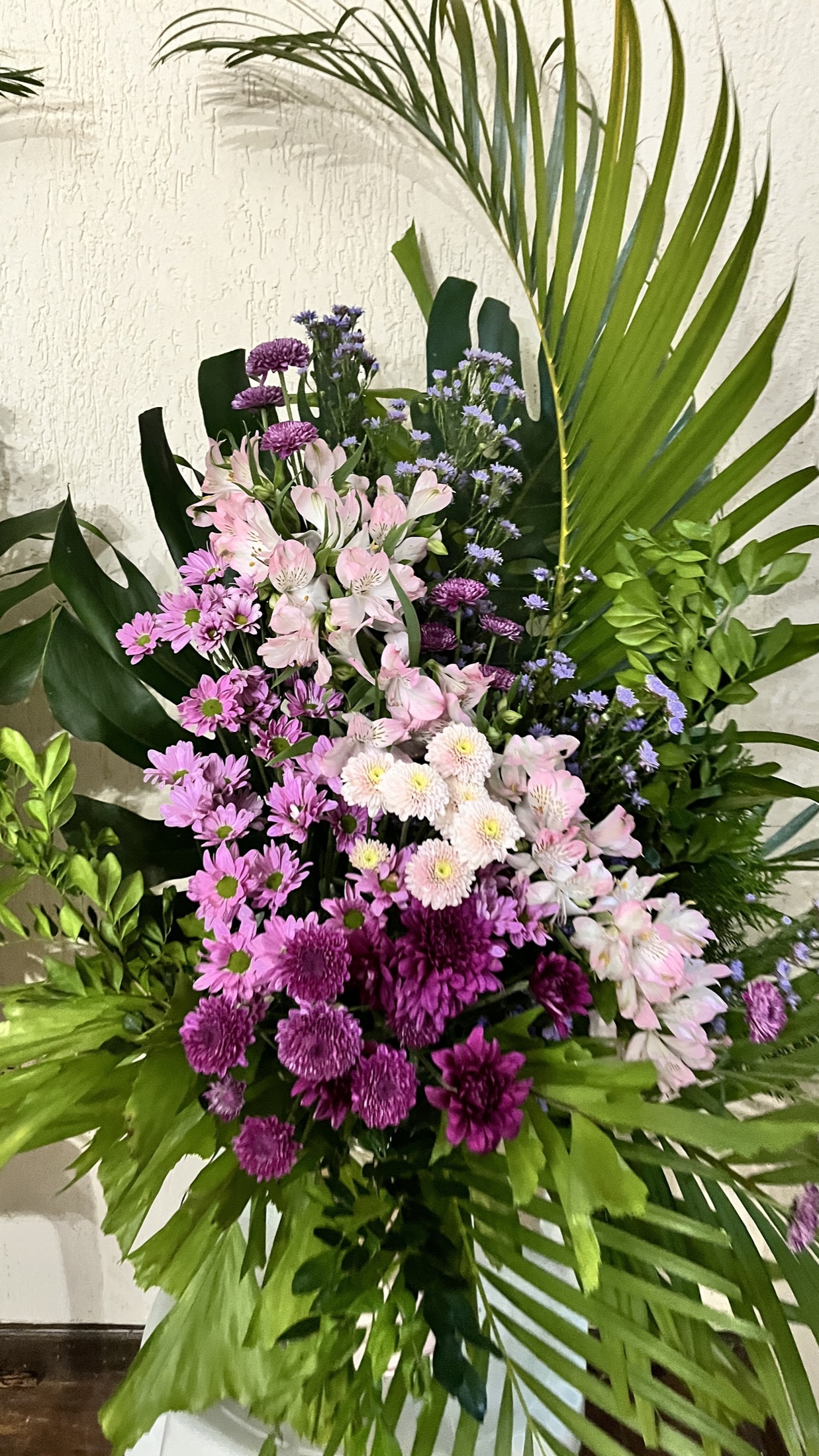 Beleza para Ambientes 144