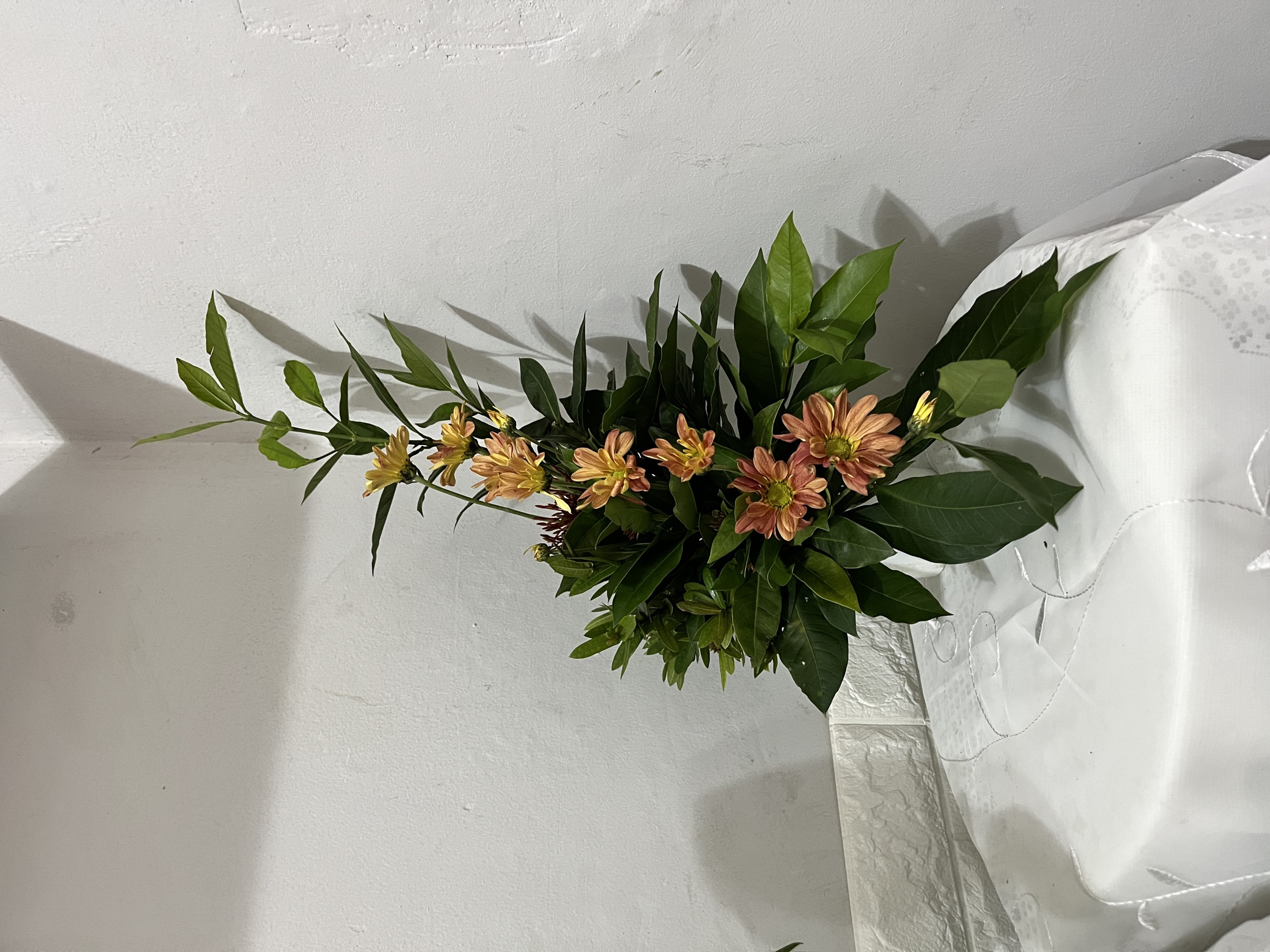 Beleza para Ambientes 166