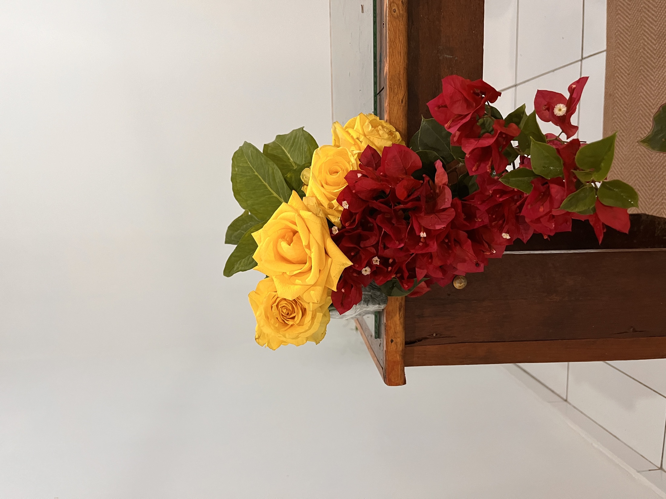 Beleza para Ambientes 169